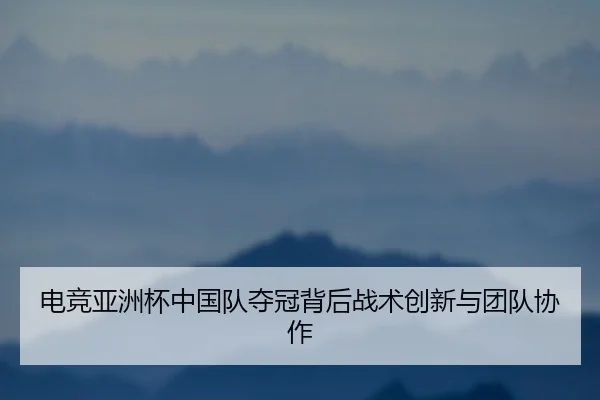 电竞亚洲杯中国队夺冠背后战术创新与团队协作